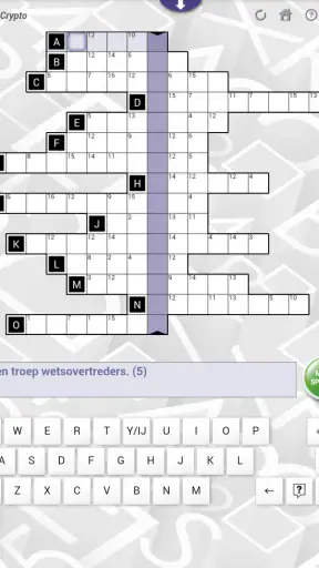 Denksport NL screenshot 2