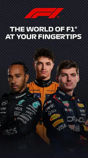 Formula 1® screenshot 6