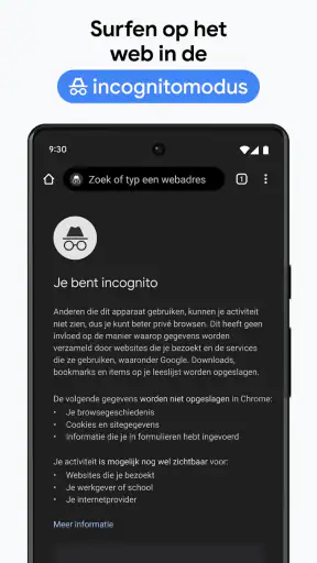 Google Chrome screenshot 6