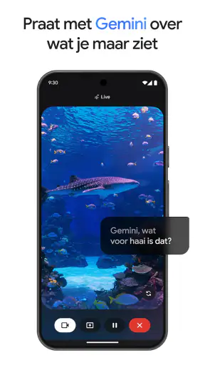 Google Gemini screenshot 3