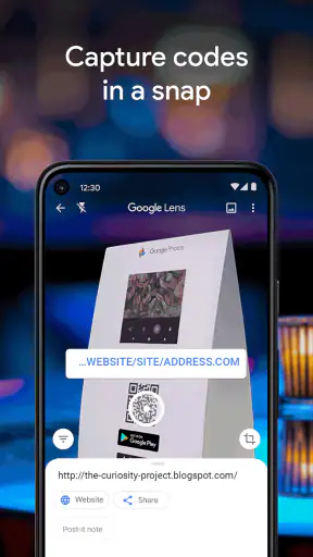 Google Lens screenshot 2