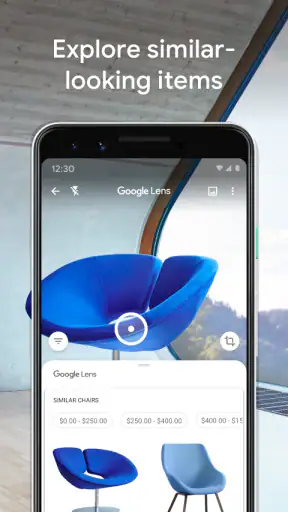 Google Lens screenshot 6