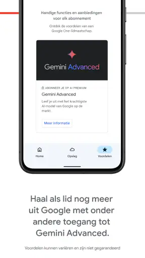 Google One screenshot 4