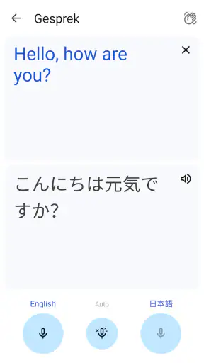 Google Translate screenshot 5