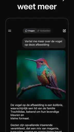 Grok: AI-assistent screenshot 3