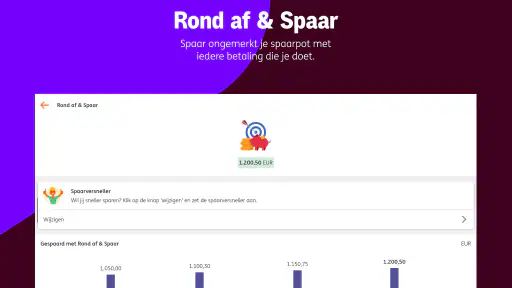 ING Nederland screenshot 12