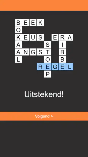 Kruiswoordpuzzel Nederlands screenshot 9