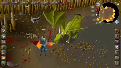 Old School RuneScape screenshot 7