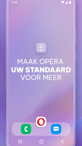 Opera-browser met VPN screenshot 8