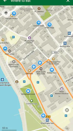Organic Maps: offline kaarten screenshot 3
