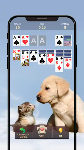 Patience - Klassiek Kaartspel screenshot 11