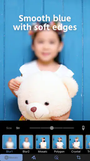 Photo Blur & Mosaic Effects screenshot 3