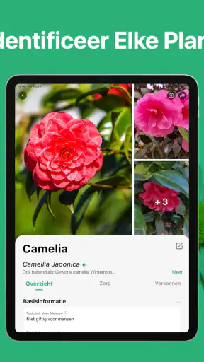 PictureThis -Planten Herkennen screenshot 10