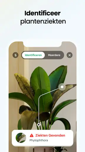 PlantApp - Plantidentificatie screenshot 3