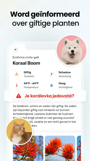 PlantApp - Plantidentificatie screenshot 5