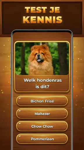 Quiz-Boom: Trivia Blocks screenshot 10