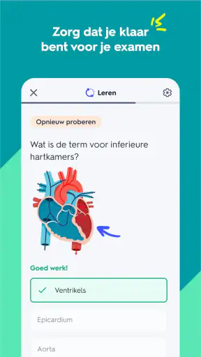 Quizlet: leren met AI screenshot 3