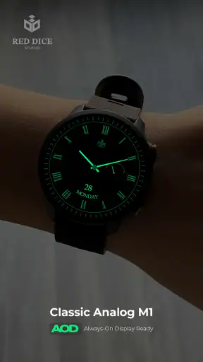 Reddice Classic Analog M1 screenshot 6