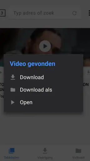 Videodownloader screenshot 12