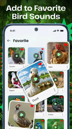 Vogelgeluiden screenshot 3