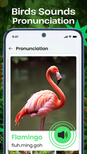 Vogelgeluiden screenshot 5