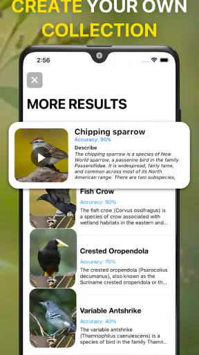 Vogelgeluiden Herkennen NL screenshot 5