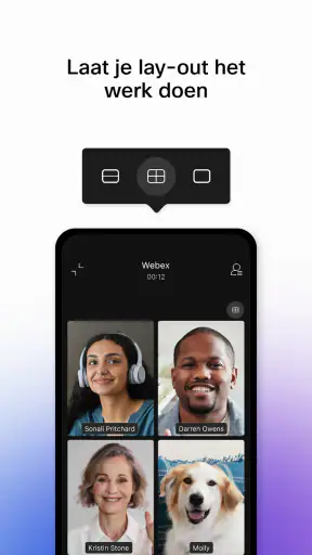 Webex screenshot 6
