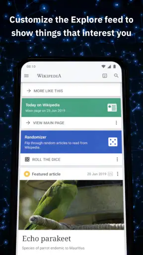 Wikipedia screenshot 5