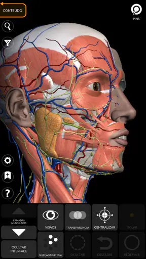 Anatomia - Atlas 3D screenshot 6