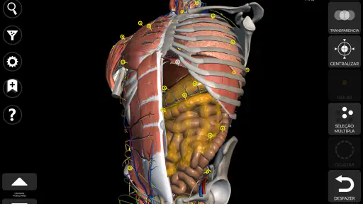Anatomia - Atlas 3D screenshot 9
