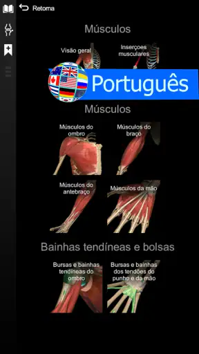 Anatomy Learning - Anatomia 3D screenshot 12