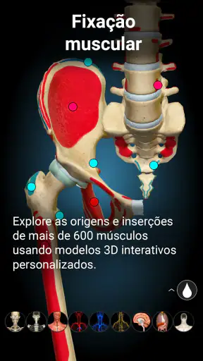 Anatomy Learning - Anatomia 3D screenshot 4