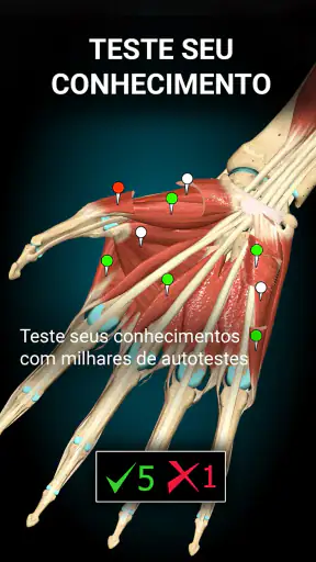 Anatomy Learning - Anatomia 3D screenshot 5