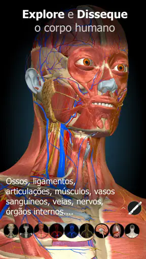 Anatomy Learning - Anatomia 3D screenshot 7