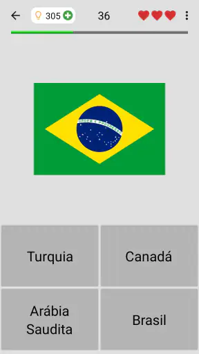 Bandeiras dos países do mundo screenshot 1