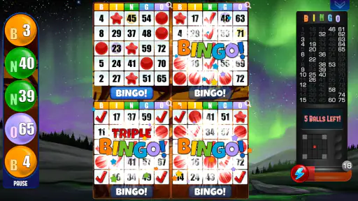 Bingo Absoluto screenshot 2