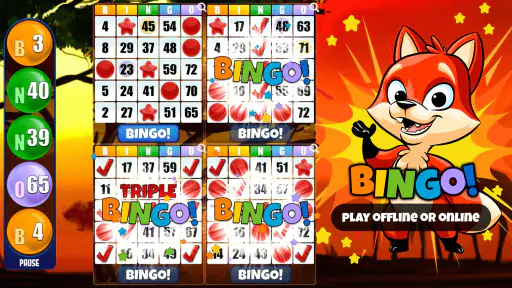 Bingo Absoluto screenshot 3