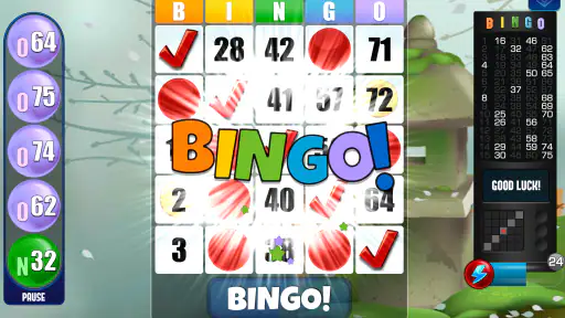 Bingo Absoluto screenshot 5