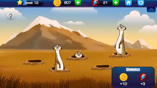 Bingo Absoluto screenshot 6