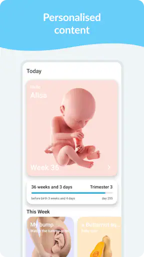 Calendário de Gravidez screenshot 1