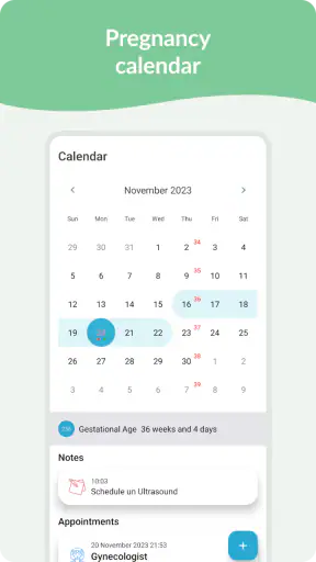 Calendário de Gravidez screenshot 2