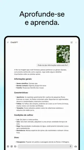 ChatGPT screenshot 10