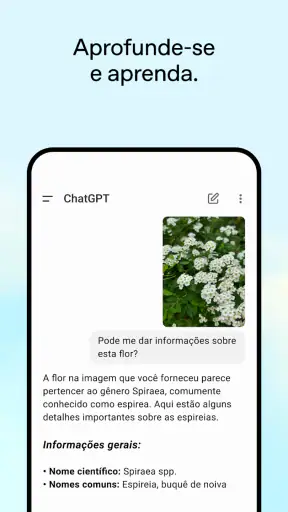 ChatGPT screenshot 4