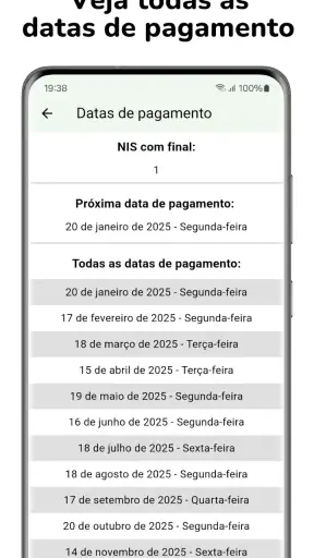 Consulta Benefício screenshot 9