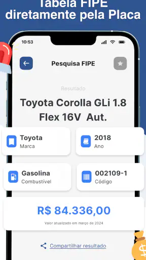 Consulta Placa Veículo multas screenshot 3