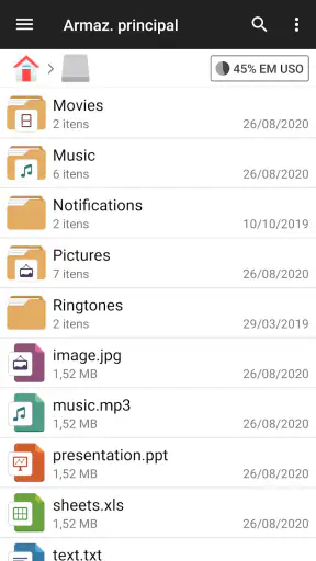 Gerenciador de arquivos screenshot 2