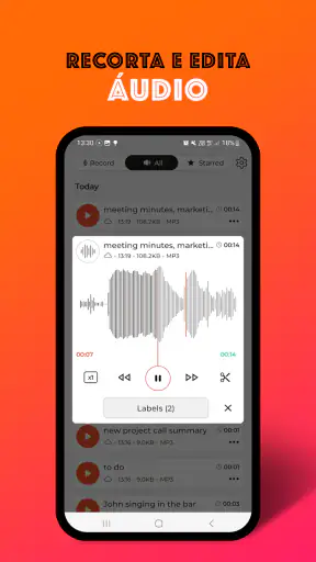 Gravador de Voz screenshot 4