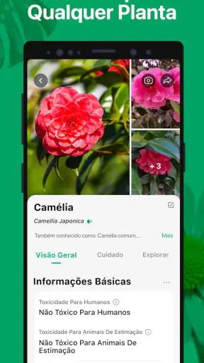 PictureThis Identificar Planta screenshot 2