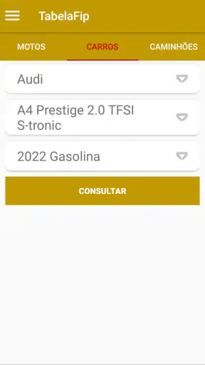PlacaFip - Consulta placa screenshot 3
