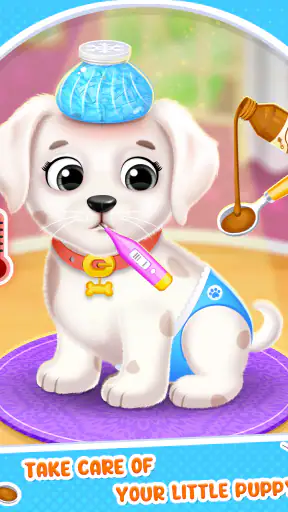 Spa e Salão de Cachorrinhos screenshot 6